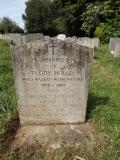 image of grave number 790428